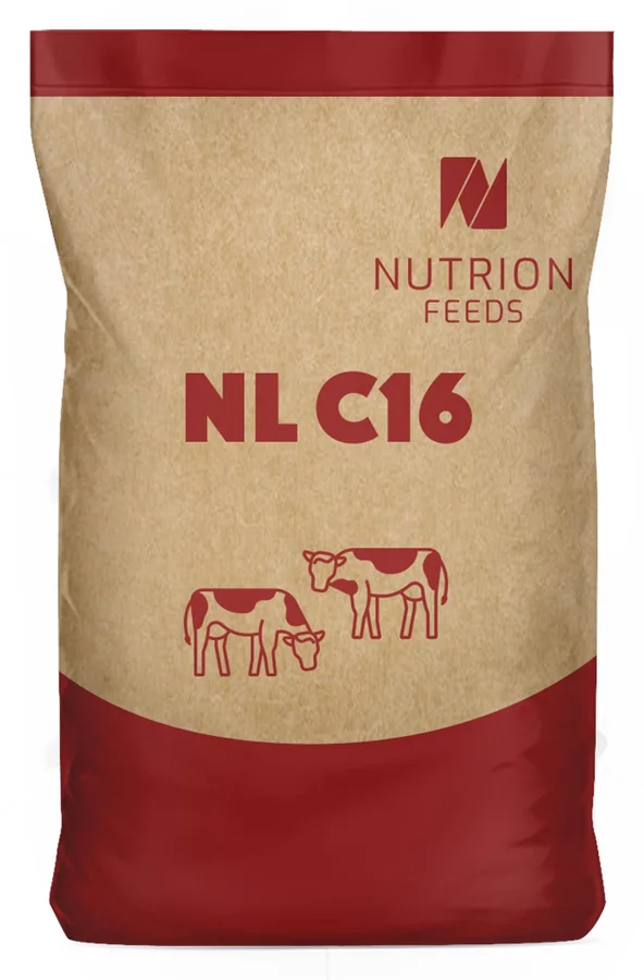 NL C16 bag