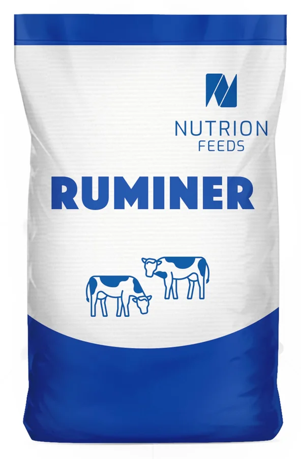 RUMINER bag