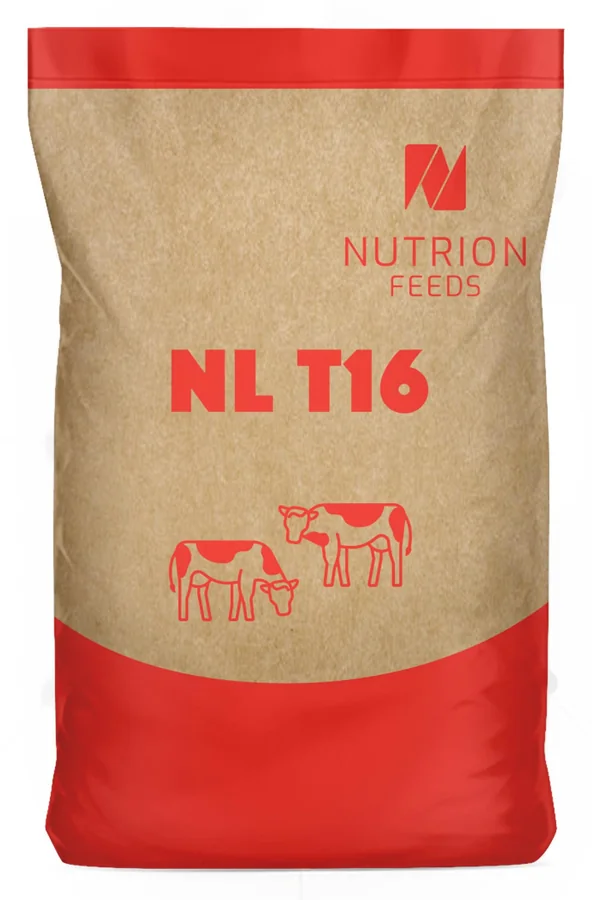 NL T16 bag